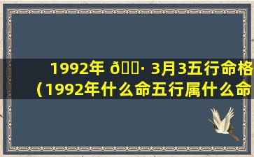 1992年 🌷 3月3五行命格（1992年什么命五行属什么命格的 🍁 人）